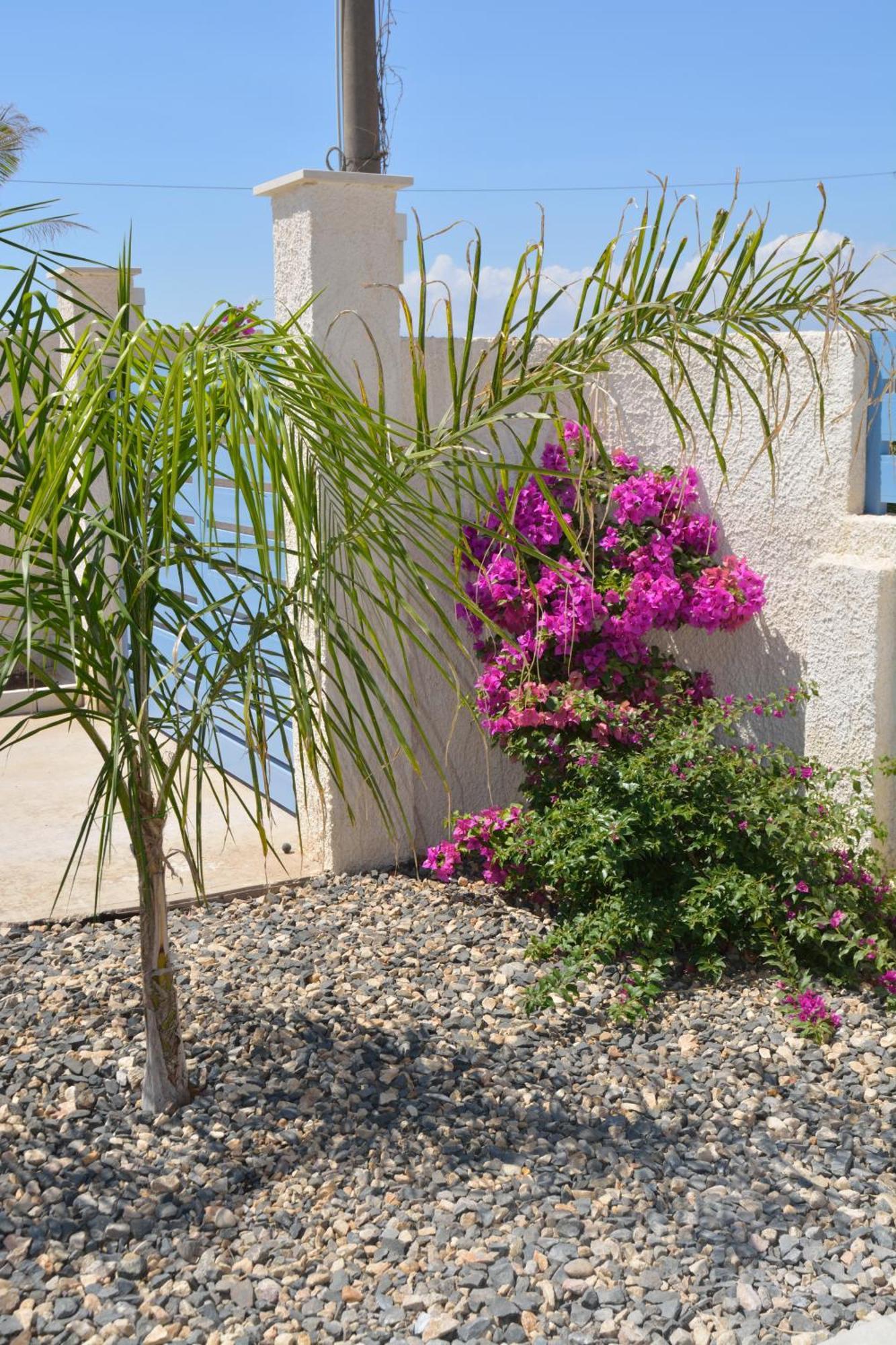 Villa Colapesce Marzamemi Exterior foto